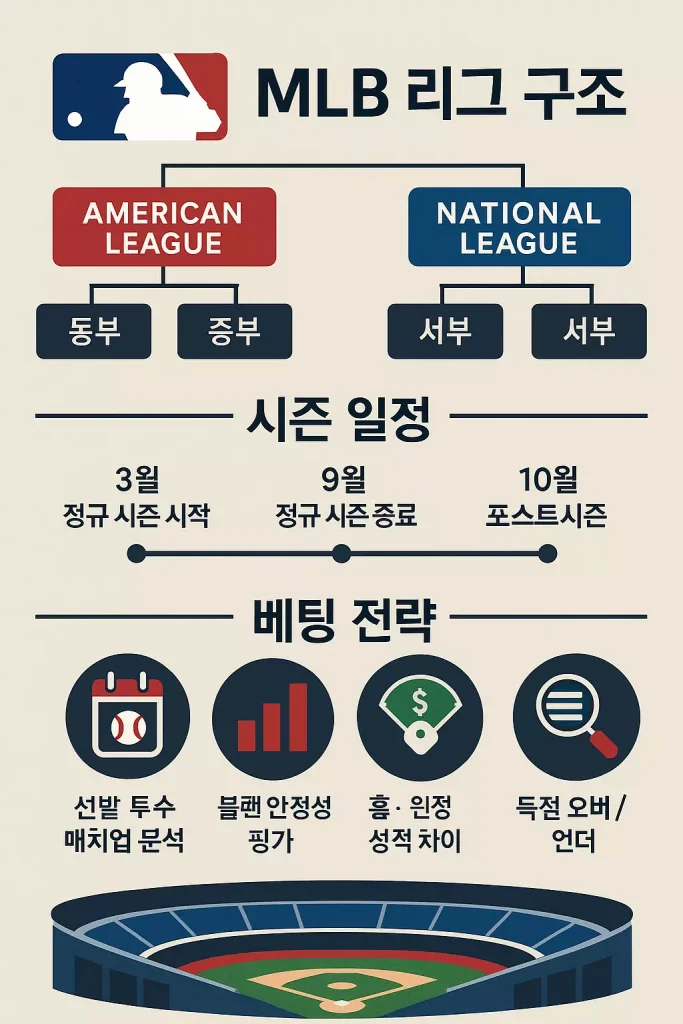MLB 리그 구조 시즌 일정 베팅 전략 인포그래픽