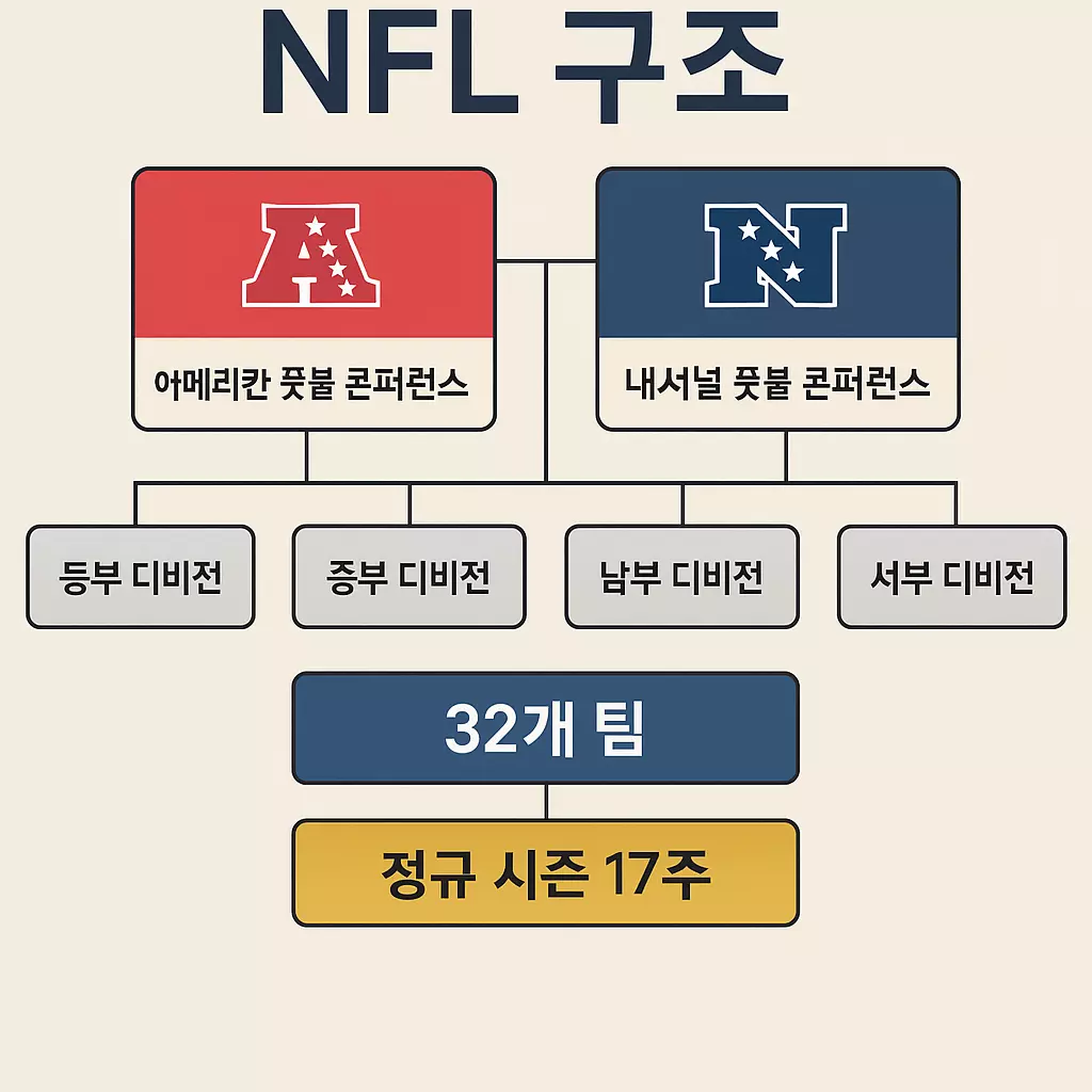 리그 구조 인포그래픽
